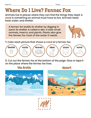 Where Do I Live? Fennec Fox