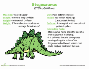 Stegosaurus Facts