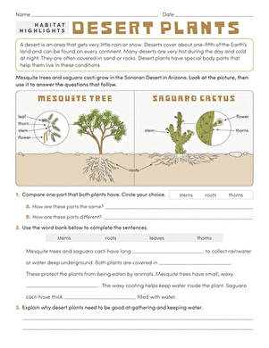 Habitat Highlights: Desert Plants