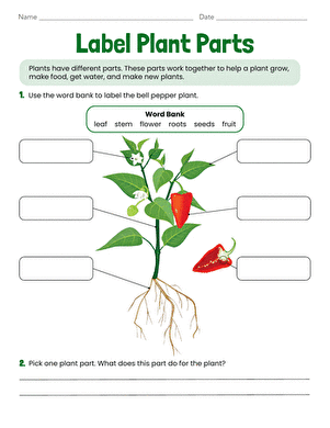 Label Plant Parts