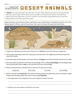 Habitat Highlights: Desert Animals