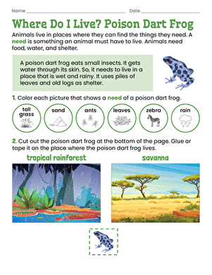 Where Do I Live? Poison Dart Frog
