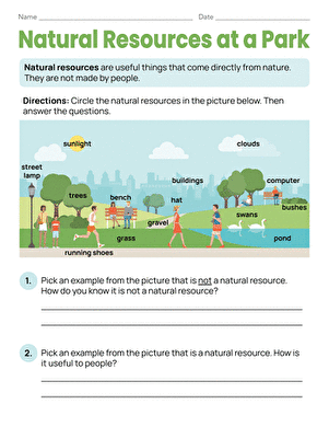 Natural Resources at a Park