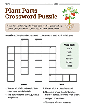 Plant Parts Crossword Puzzle
