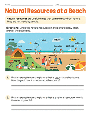Natural Resources at a Beach