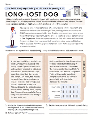 Use DNA Fingerprinting to Solve a Mystery #2: Long-Lost Dog