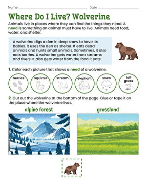 Where Do I Live? Wolverine