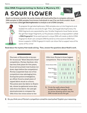 Use DNA Fingerprinting to Solve a Mystery #3: A Sour Flower