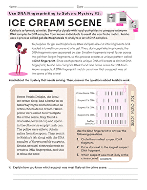 Use DNA Fingerprinting to Solve a Mystery #1: Ice Cream Scene