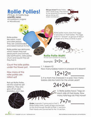 Rollie Pollies
