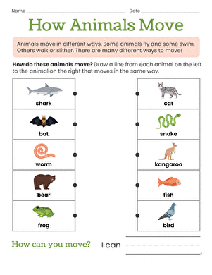 How Animals Move