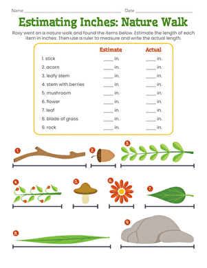 Estimating Inches: Nature Walk