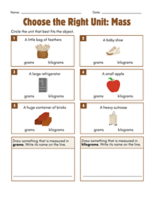 Choose the Right Unit: Mass