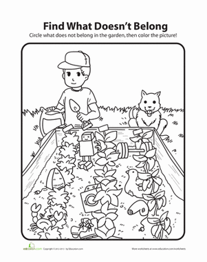 What Doesn't Belong: Garden