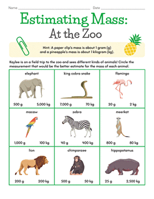 Estimating Mass: At the Zoo