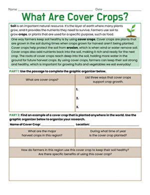 What Are Cover Crops?