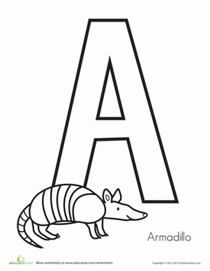 A is for Armadillo