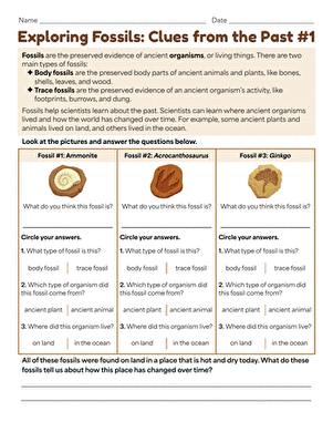 Exploring Fossils: Clues from the Past #1