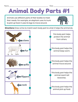 Animal Body Parts #1