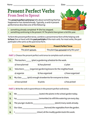 Present Perfect Verbs: From Seed to Sprout