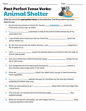 Past Perfect Tense: Animal Shelter