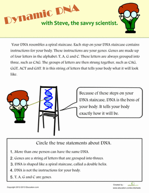 DNA Basics
