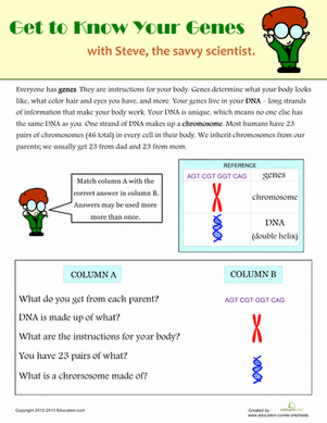 What is a Gene?