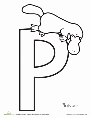 P is for Platypus