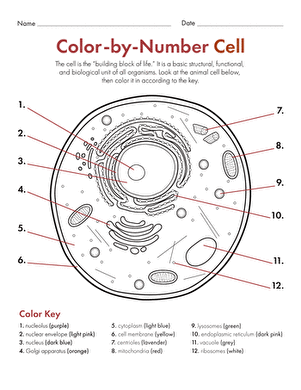 Color by Number: Cell
