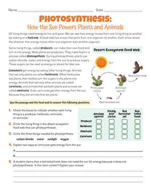 Photosynthesis: How the Sun Powers Plants and Animals
