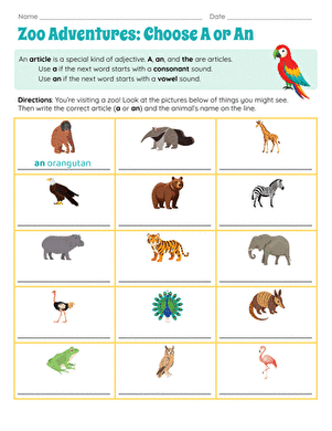 Zoo Adventures: Choose A or An
