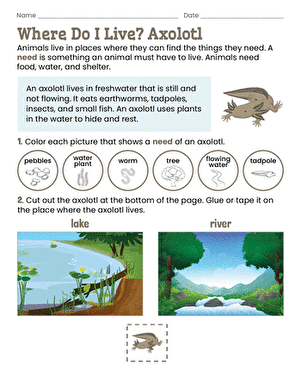 Where Do I Live? Axolotl