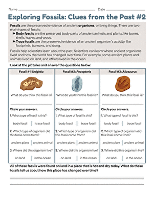 Exploring Fossils: Clues from the Past #2