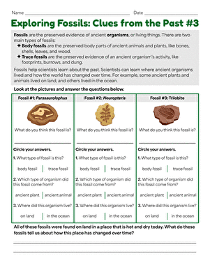 Exploring Fossils: Clues from the Past #3