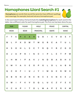 Homophones Word Search #1