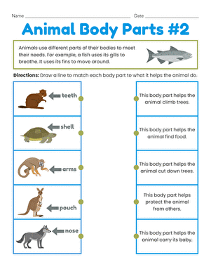 Animal Body Parts #2