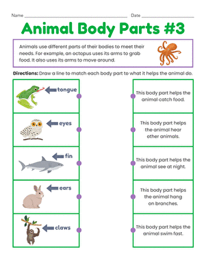 Animal Body Parts #3