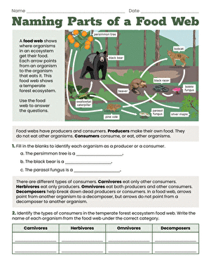 Naming Parts of a Food Web