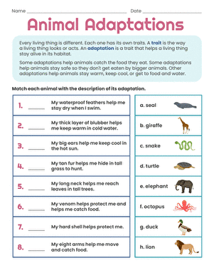Animal Adaptations