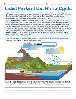 Label Parts of the Water Cycle