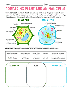 Comparing Plant and Animal Cells