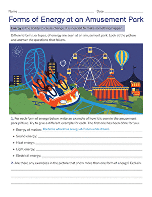 Forms of Energy at an Amusement Park