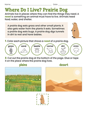 Where Do I Live? Prairie Dog
