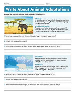 Write About Animal Adaptations