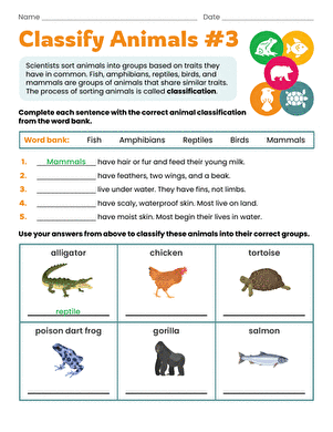 Classify Animals #3
