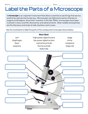 Label the Parts of a Microscope