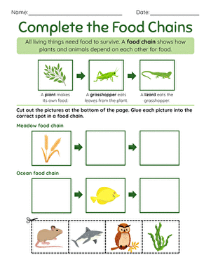 Complete the Food Chains