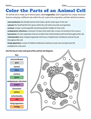Color the Parts of an Animal Cell