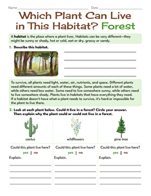 Which Plant Can Live in This Habitat? Forest