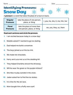 Identifying Pronouns: Snow Day